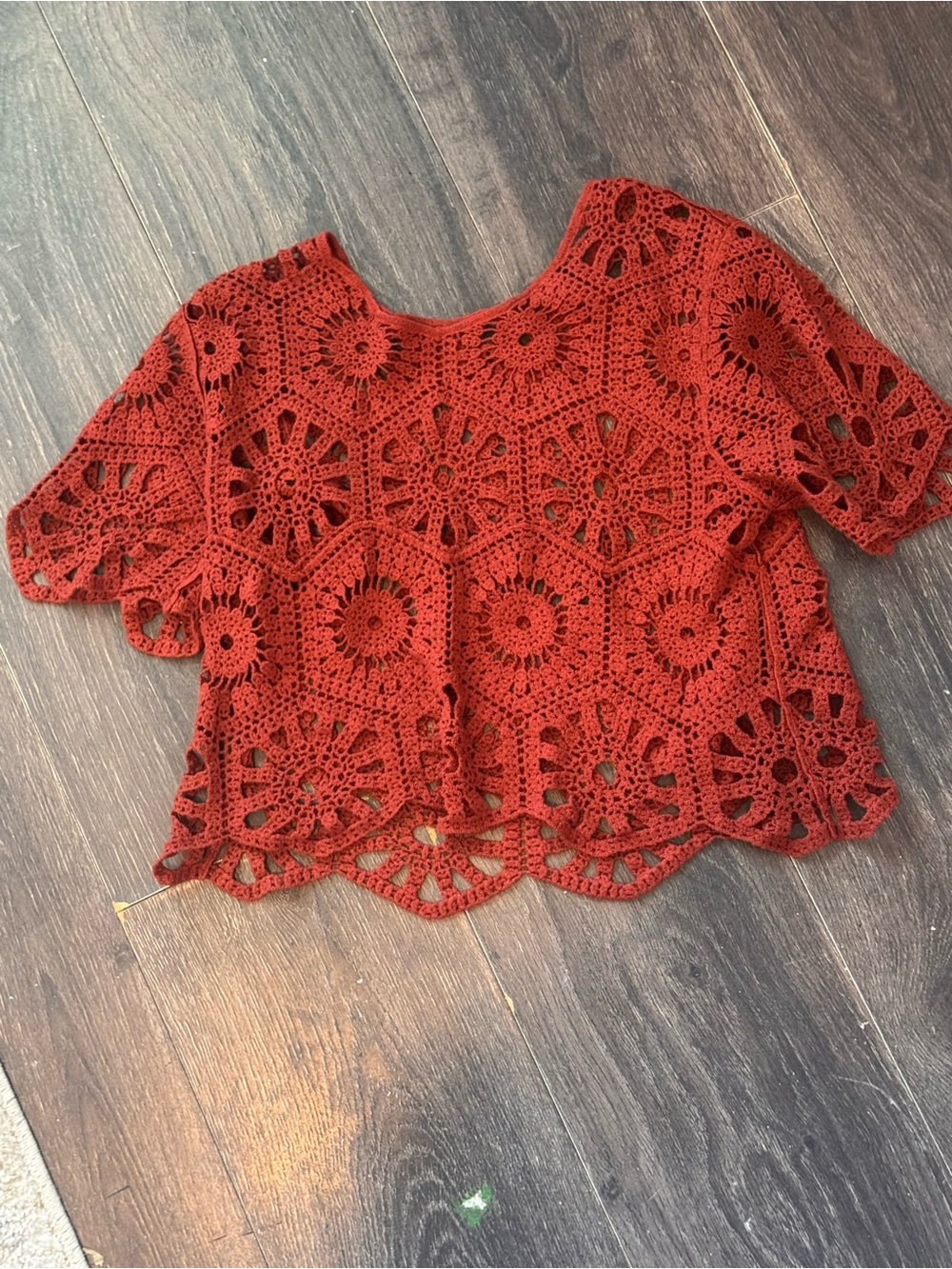 Source Unknown Rust Crochet Lace Crop Top